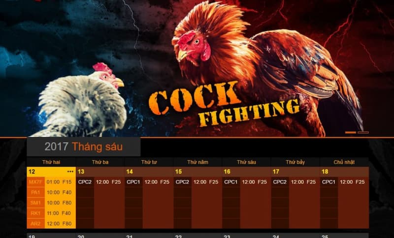 Các sảnh cược tại chọi gà FANVIP